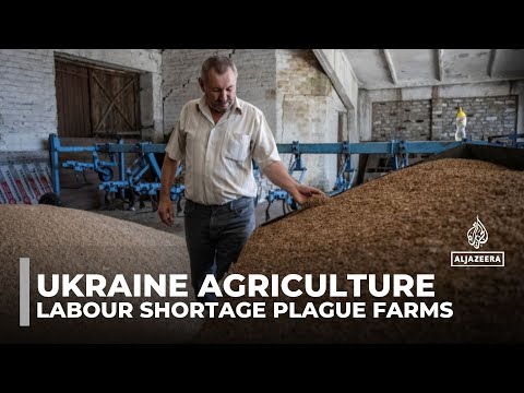 Ukraine agriculture: Conflict with Russia has created a labour shortage