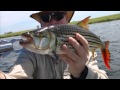 Fly Fishing for Tigerfish Sekoma 2013 