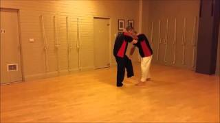 Taijiquan applications - snake creeps through grass