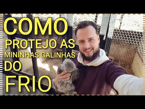 , title : 'Como protejo minhas galinhas do frio - Bruno Miorim'