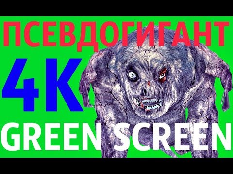 ФУТАЖ - "GREEN SCREEN" IDLE ПСЕВДОГИГАНТ (С.Т.А.Л.К.Е.Р.)