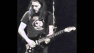 David Gilmour - You Know Im Right (Live)