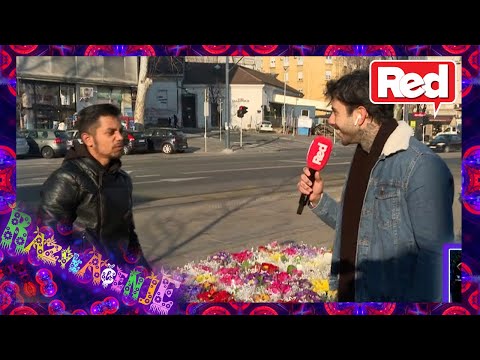 Razvlačenje - deo 7 - Filip kupuje cveće - 08.03.2021 - Red TV