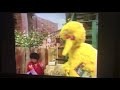 Big Bird S Yelling Wakes Up Baby Bird