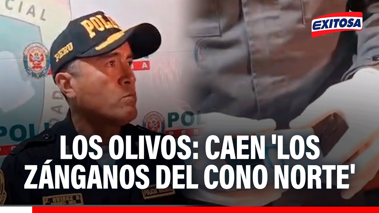 🔴🔵 Los Olivos: Caen 'Los Zánganos del Cono Norte' dedicados al robo de autos de alta gama