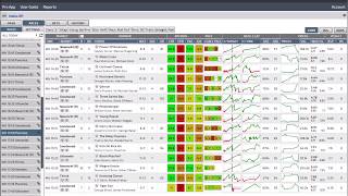 Hedger Pro Strategy Builder