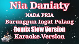 Download lagu Burungpun Ingat Pulang - Nia Daniaty ( Nada Pria ) REMIX SLOW VERSION mp3