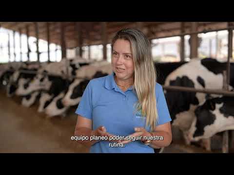 Fazenda Bacelar Agroleite - Arapoti/PR - Brasil