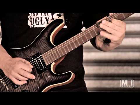 MI Audio Megalith Gamma High Gain Amplifier - Michael Katselos