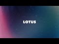 Benzooloo Lotus