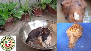 how to clean goat head || easy way || wardah