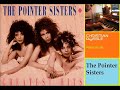 The Pointer Sisters - I am so excited (Instrumental by Christian Rössle)