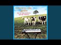 Mafich Arabi (Live at Glastonbury)
