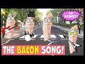 The Bacon Song ( The Woweez) | Song About Bacon | Funny Songs | Funny Music | Funny Bacon Videos