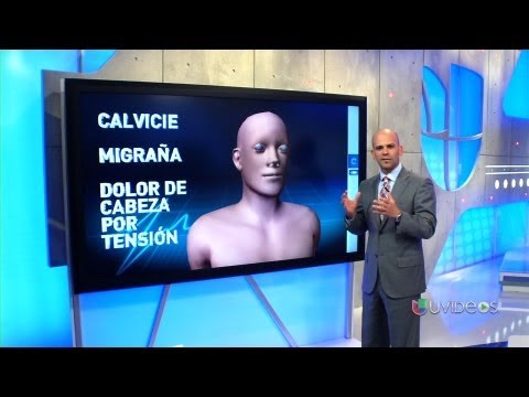 Stress - The effects of stress on your body - Univision News