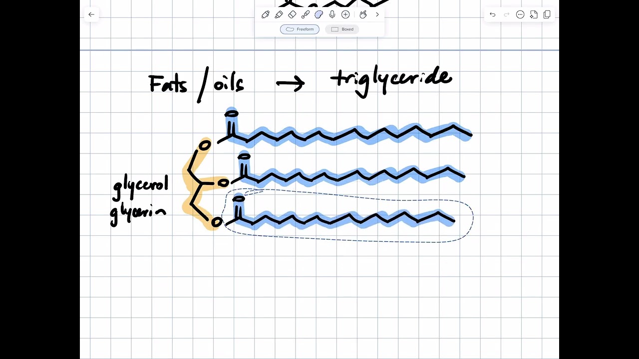 F2025 351 L11 Sep 26 8a