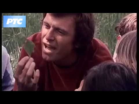 Kocka, kocka, kockica - Rajska oaza