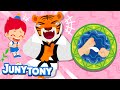 Why Are We Ticklish?🤣 | Can’t Stop Laughing! | Curious Songs for Kids | JunyTony