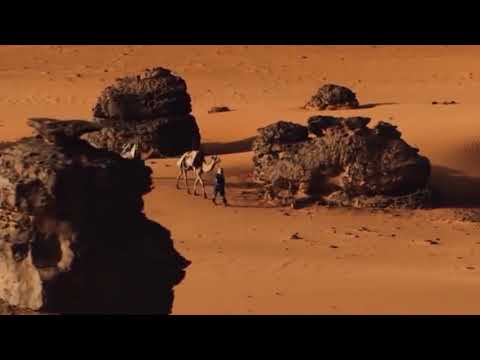 Përse Allahu zgjodhi tua shpallte mesazhin hyjnor arabëve?