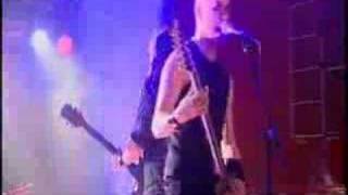 03 Charm of the Wilderness (live)