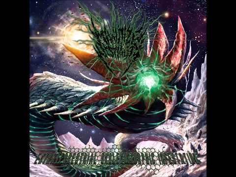 Maximize Bestiality - Intraocular Parasitic Entity 2014