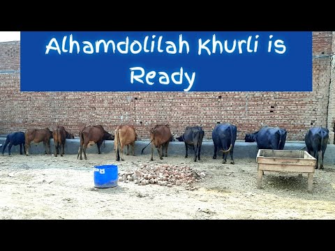 Janwaron K liye new khurli banai