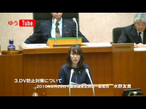 国際関係学科 千葉県議会議員　水野友貴 2016年2月29日　一般質問【3】　DV防止対策について