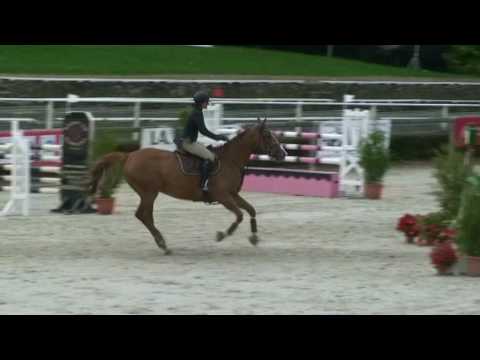 ♥ Quetsche du Gue- jumping horse  by Diamant de Semilly