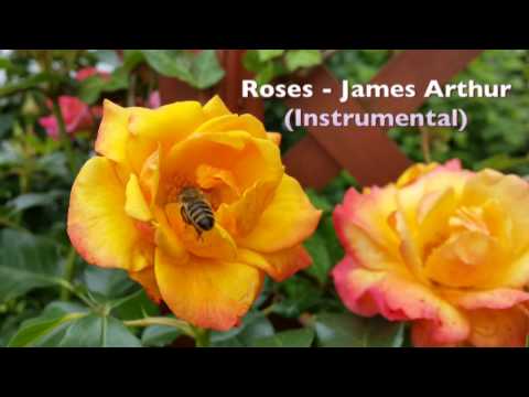 Roses - James Arthur (Instrumental - Guitar)