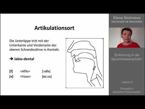 Einführung in die Sprachwisenschaft: Thema 3 - Konsonanten