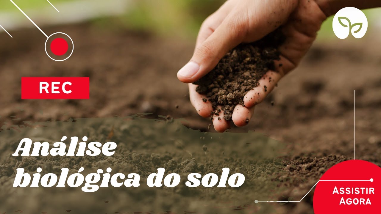 MANEJO ECOLÓGICO DO SOLO / O que é a análise BioAS ?