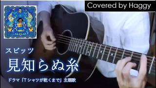 【covered by Haggy】スピッツ / 見知らぬ糸（フル）【ギター 弾き語り】※ドラマ「Tシャツが乾くまで」主題歌