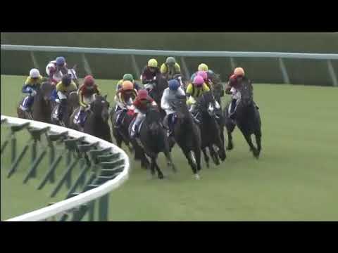 2019.03.31 Osaka Hai (JPN) - Al Ain