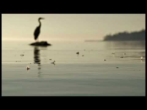 Jalaja Ramesh Chod de saari duniya by jalaja ramesh