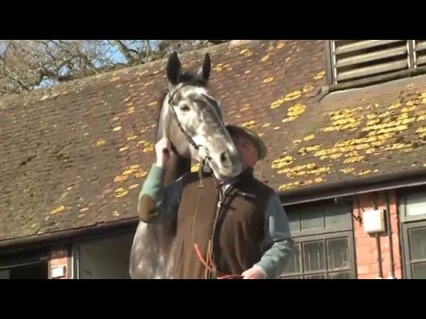 Cheltenham 2016: Nicky Henderson & Paul Nicholls on their World Hurdle runners