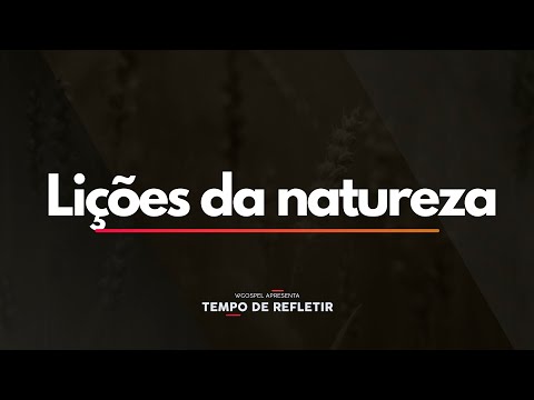 Tempo de Refletir 2450 - Lições da Natureza