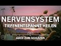 Reguliere Beruhige Dein Nervensystem Meditation Für Tiefe Entspannung Guten Schlaf Heilung