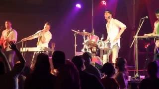 Beer for Iguana "Medley"