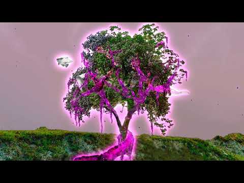 nAvvvi ツ - WILD ARMS Ft. VITAMJN & INDIGOENDO (Prod. By VERMIN)