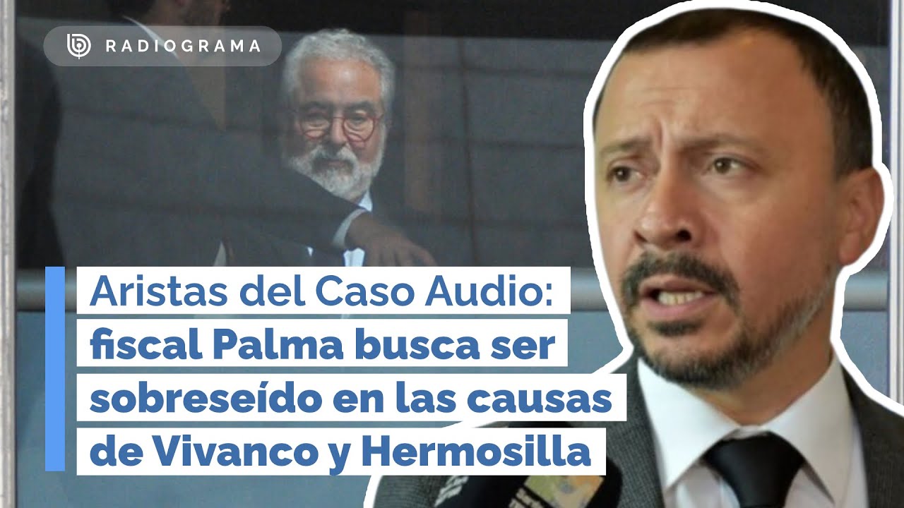 Aristas del Caso Audio: fiscal Palma busca ser sobreseído en las causas de Vivanco y Hermosilla