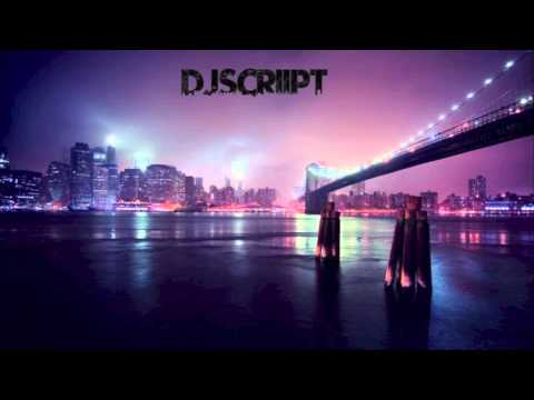 Centipede ft. Skrillex Right in ( DJscriipt remix )