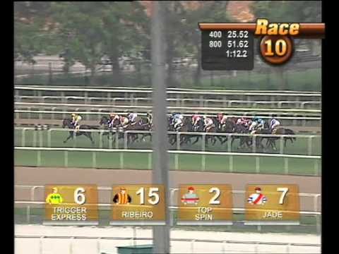Singapore Gold Cup 2008 (El Dorado)