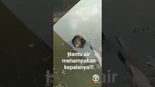 Download lagu hantu air berani menampakkan kepalanya di siang hari!! mengerikan #hantuindonesia #hantucumplung # mp3