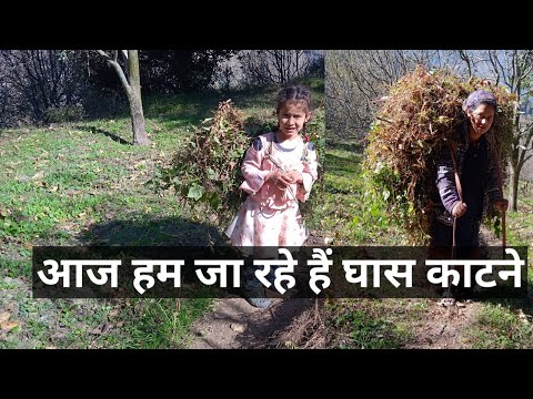 Deepakshi aur Main Chale Ghas ka Bujha Lene ll #grasscutting ..