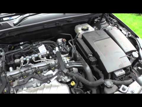 Vauxhall Insignia Power Steering Fluid Location