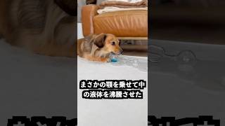 両端を同時に握ったら…爆発した #ガラス #実験