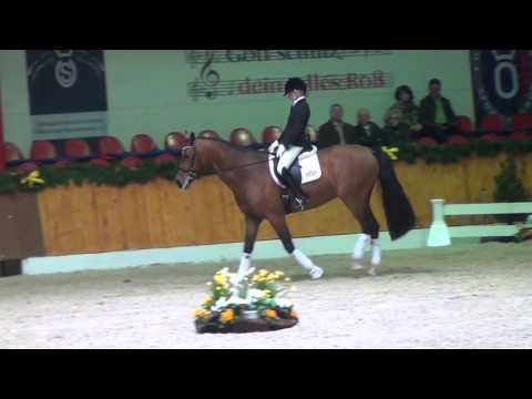 Rocco Granata Vechta 2016