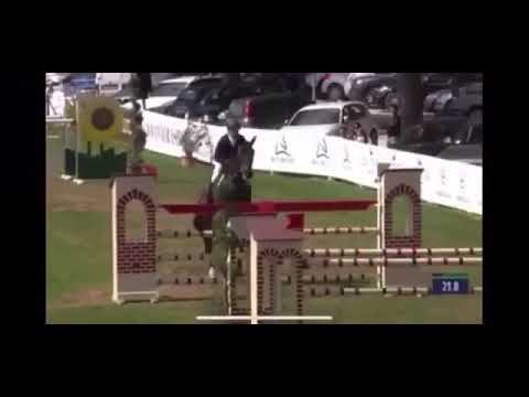 CENTENNIAL PAARDESM Z