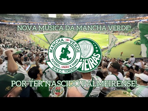 NOVA MÚSICA DA MANCHA VERDE DIRETO DA BATERIA!
