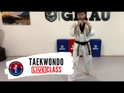 Taekwondo LIVE "All Around" Class thumbnail